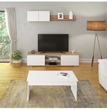 Mesa de Centro Fija, Mesa Auxiliar, Acabado en Blanco, Medidas: 100 cm (Largo) x 50 cm (Ancho) x 41,6 cm (Alto)